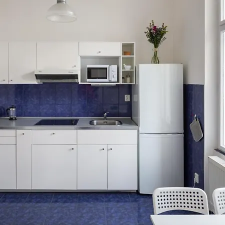 Welcoming Flat In Vinohrady By Days Praha